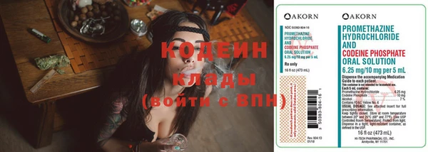 сатива Корсаков