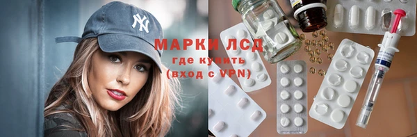 прущие грибы Кодинск