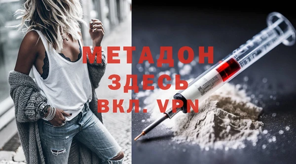 сатива Корсаков