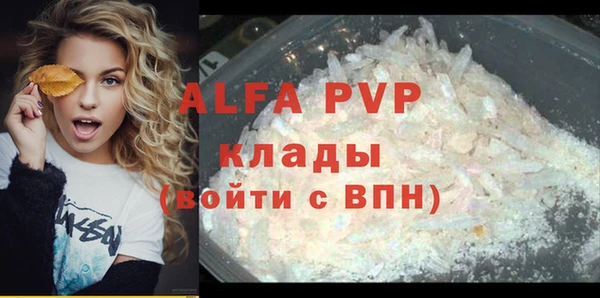прущие грибы Кодинск