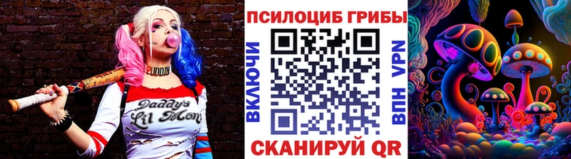 Псилоцибиновые грибы мицелий  Купить закладки  Дудинка 
